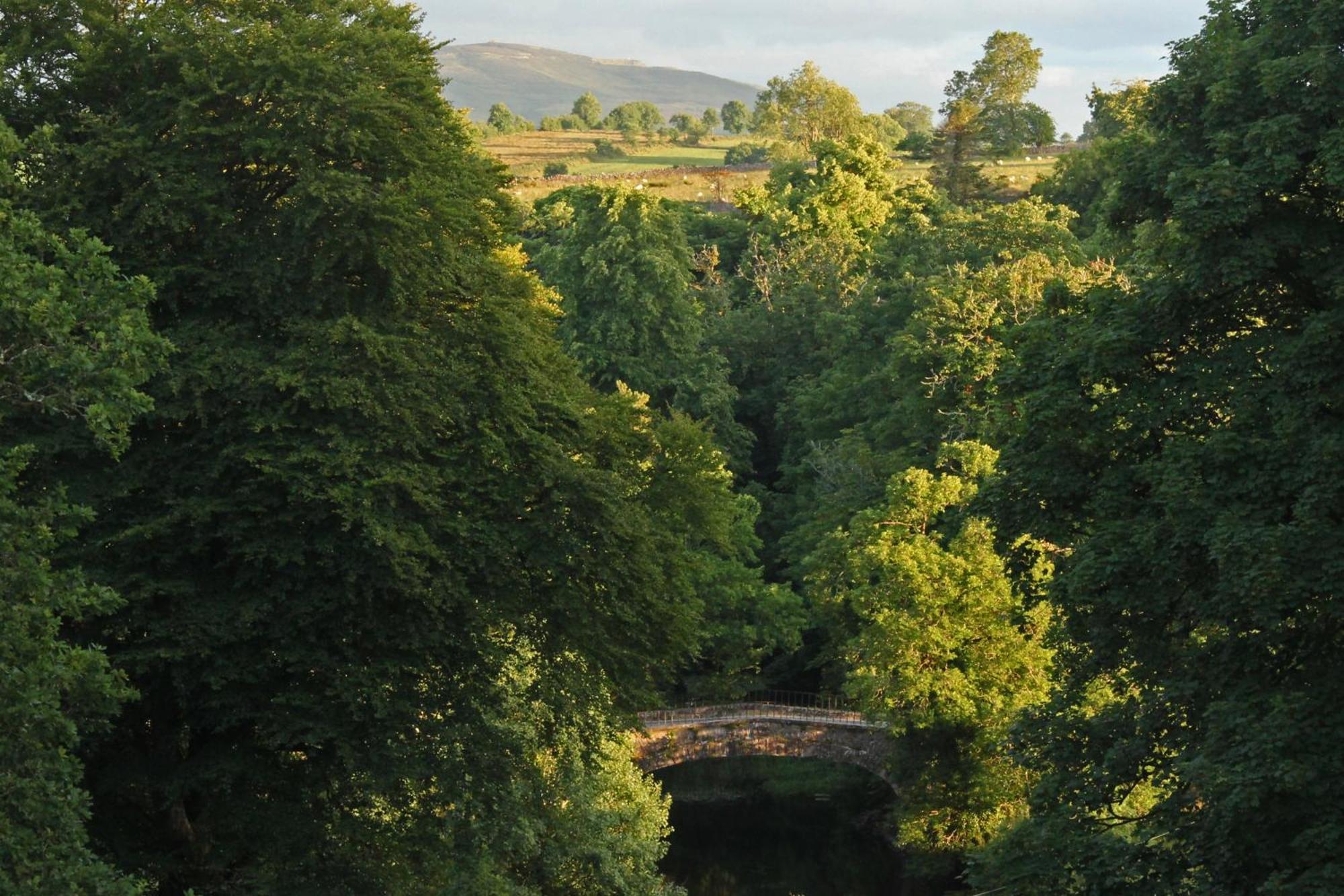ホテル Coopershill House Riverstown  エクステリア 写真