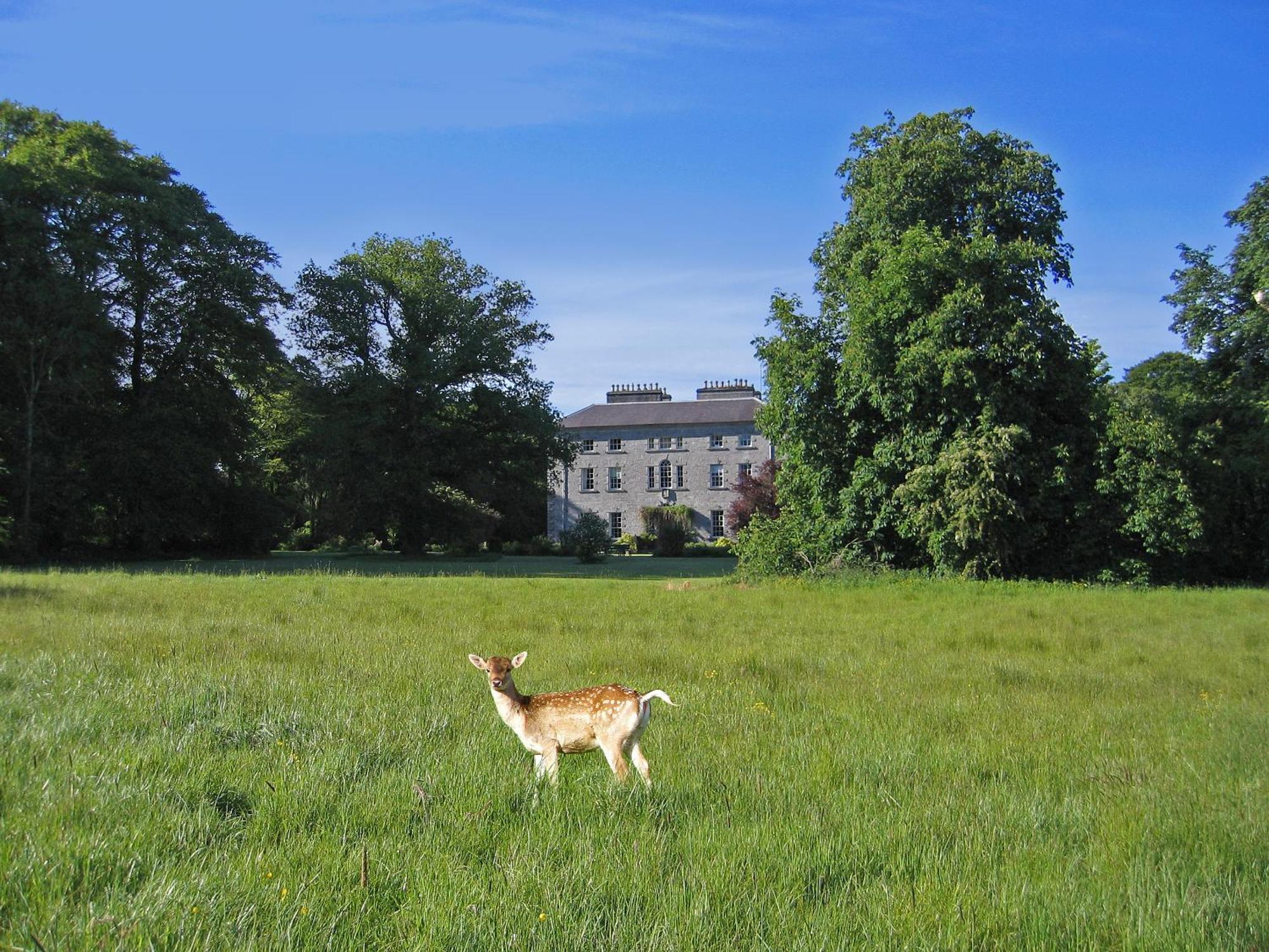 ホテル Coopershill House Riverstown  エクステリア 写真