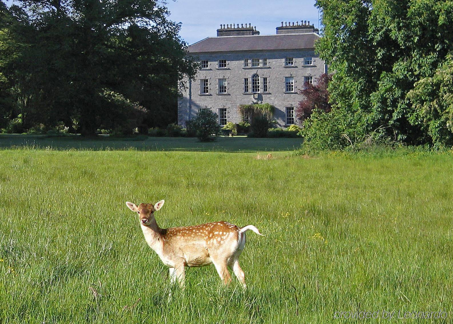 ホテル Coopershill House Riverstown  エクステリア 写真